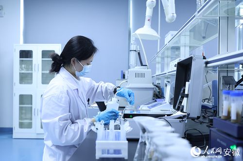 科技賦能“藥都”新篇章 探訪亳州中藥材種苗“植物工廠”