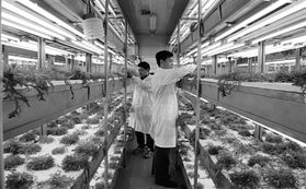 信息技術與生物技術雙輪驅動，開啟現代農業發展新篇章